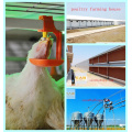 Automatische Ausrüstung im Geflügel-Landwirtschafts-Haus für Broiler-Huhn